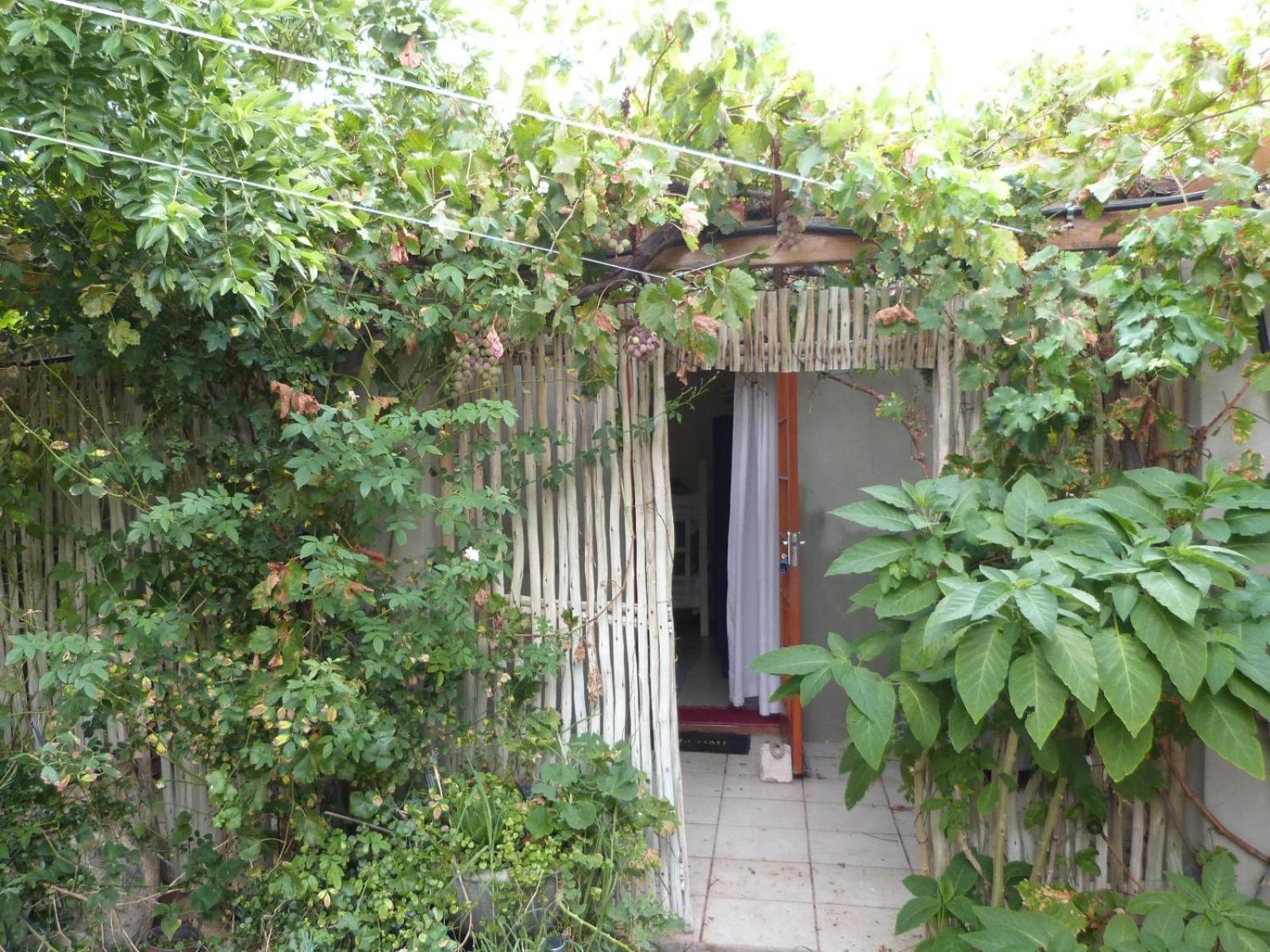 Hannah'S Haven Studio Deluxe - No Loadshedding Apartment Beaufort West Luaran gambar
